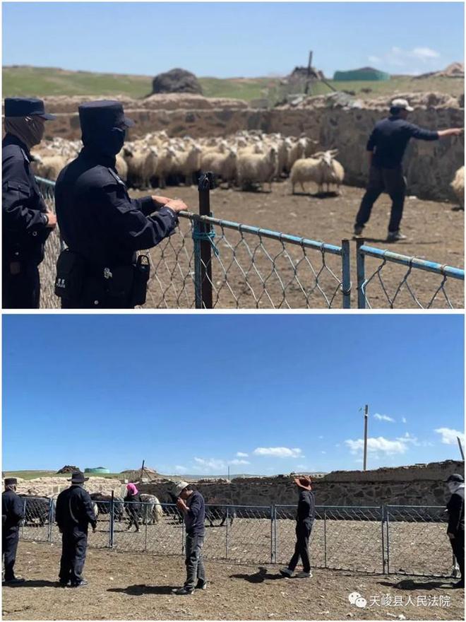 关于欧国联赛疑点频现，法官裁决引争议的信息